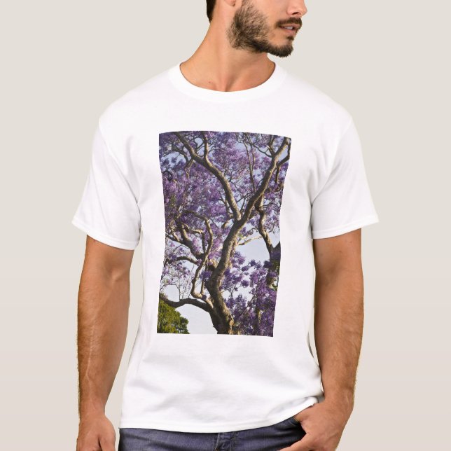 Blooming Jacaranda Trees in New Farm Park, T-Shirt (Front)