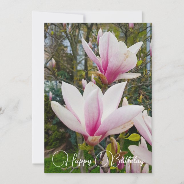 Blooming large pink magnolia flowers. invitation (Front)