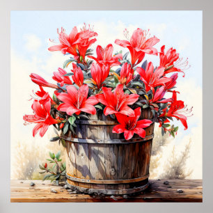 Blooming Lily Flower Illustration Poster