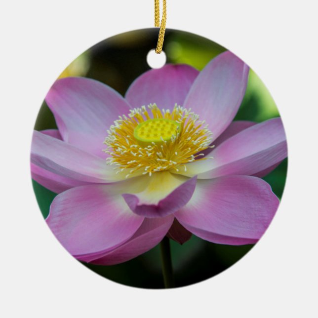 Blooming lotus flower, Indonesia Ceramic Tree Decoration (Front)