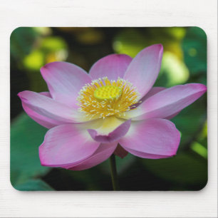 Blooming lotus flower, Indonesia Mouse Mat