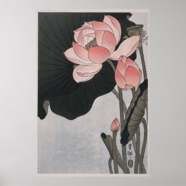 Blooming lotus flowers (1920 - 1930) poster (Front)