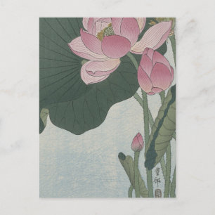 Blooming Lotus Flowers by Ohara Koson Postcard