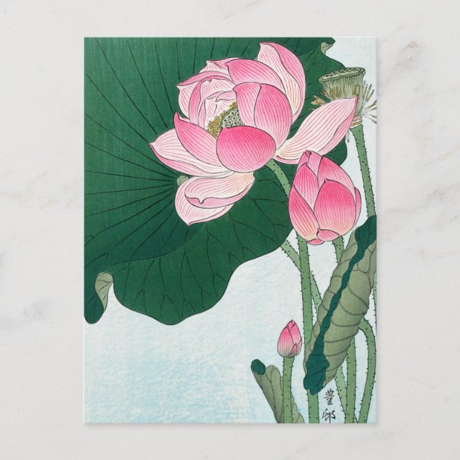 Blooming Lotus Flowers, Koson, Japanese Flower Art Postcard (Front)