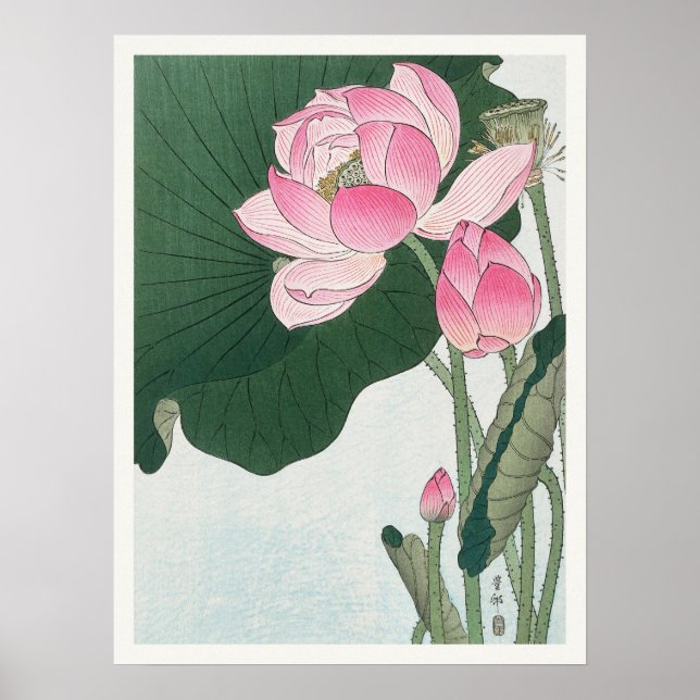 Blooming Lotus Flowers Ohara Koson Japanese Art Poster (Front)