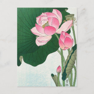 Blooming lotus flowers - Ohara Koson - VintageArt Postcard