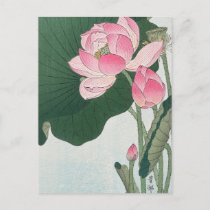 Blooming Lotus Flowers Painting by Ohara Koson Postcard