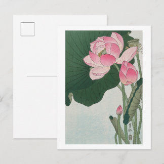 Blooming lotus vintage illustration by Ohara Koson Postcard