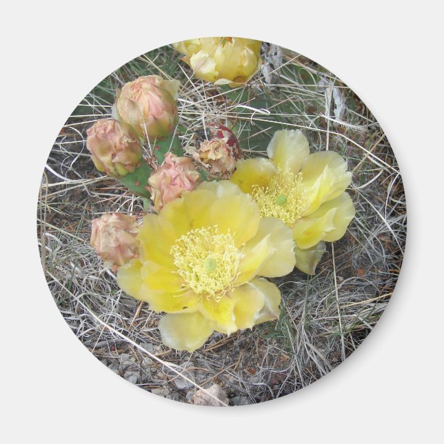 Blooming Magnet (Front)