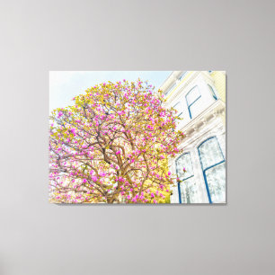 Blooming Magnolia Tree by Victorian House Canvas Print