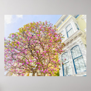 Blooming Magnolias by Victorian House Poster