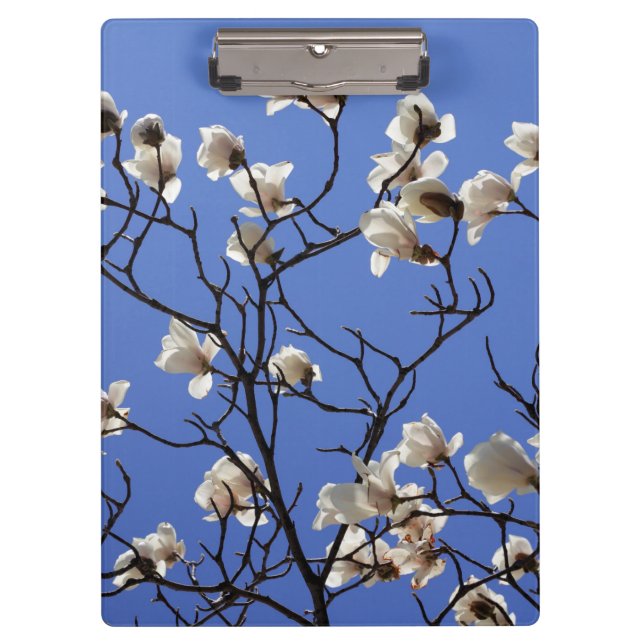 Blooming Magnolias Clipboard (Front)
