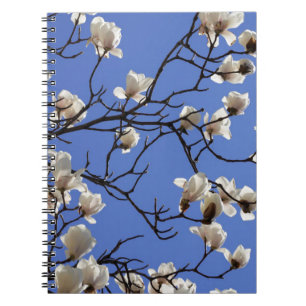 Blooming Magnolias Notebook