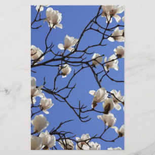 Blooming Magnolias Stationery