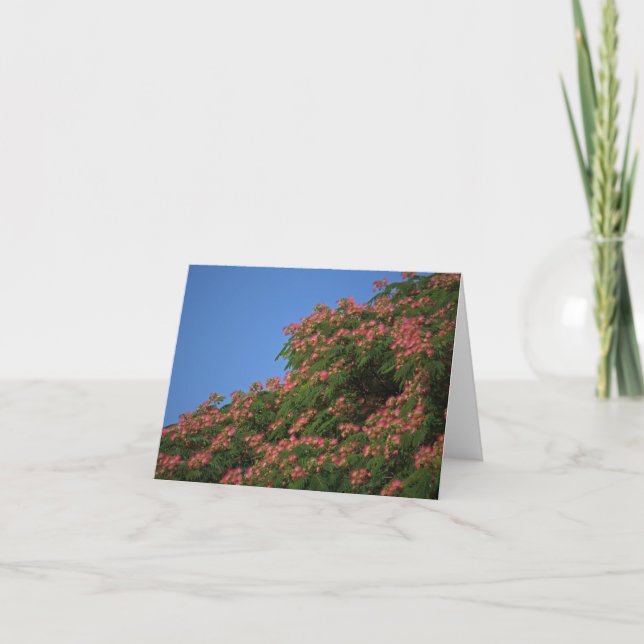 Blooming Mimosa Tree notecard (Front)