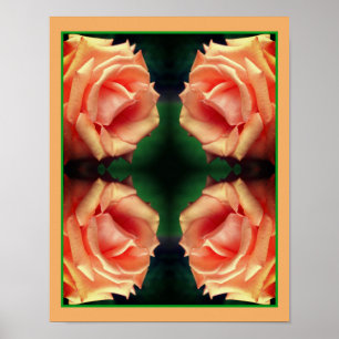 Blooming Peach Rose Abstract Poster