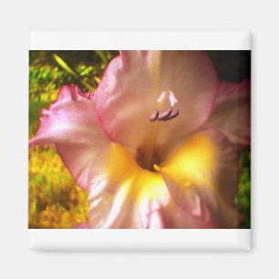 Blooming Pink Flower Magnet