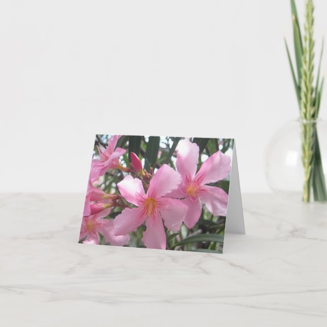 Blooming pink flowers card (Front)