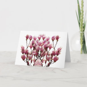 Blooming Pink Magnolias Spring Flower Card