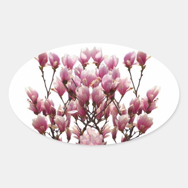 Blooming Pink Magnolias Spring Flower Oval Sticker (Front)