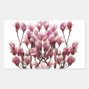 Blooming Pink Magnolias Spring Flower Rectangular Sticker
