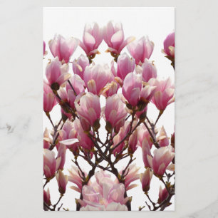 Blooming Pink Magnolias Spring Flower Stationery