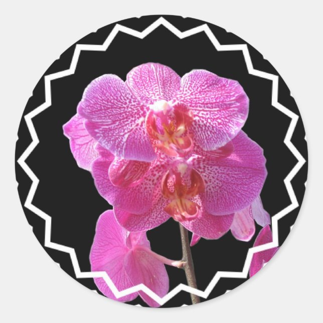 Blooming Pink Orchids Sticker (Front)