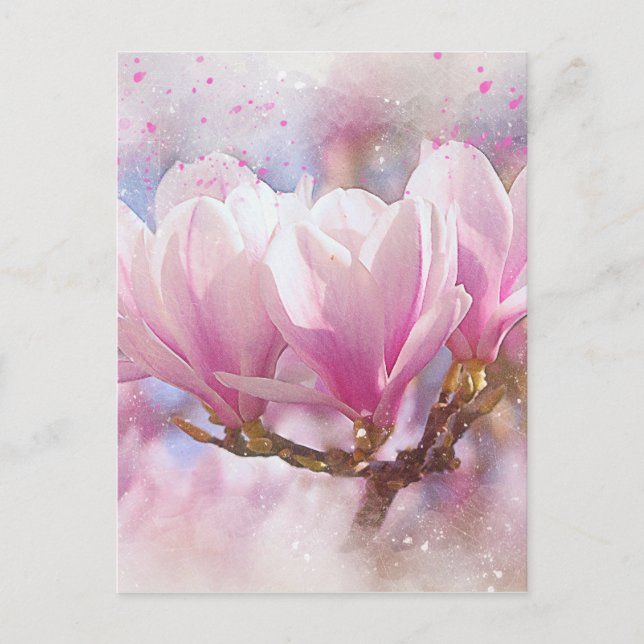 Blooming Pink Purple Magnolia - Spring Flower Postcard (Front)