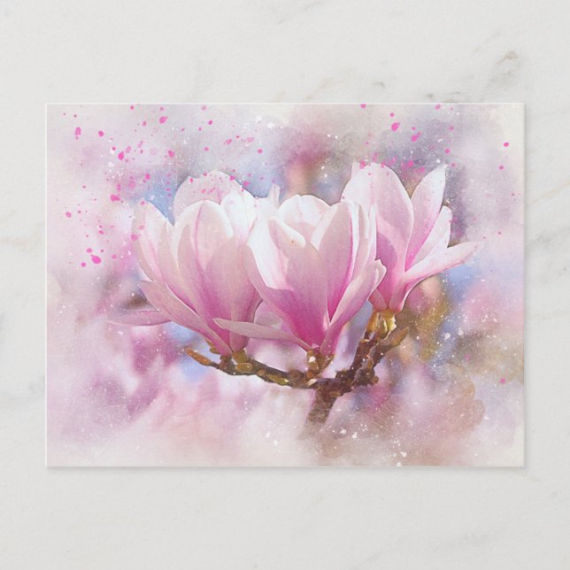 Blooming Pink Purple Magnolia - Spring Flower Postcard (Front)