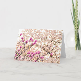 Blooming Pink Purple Magnolias Spring Flower Card