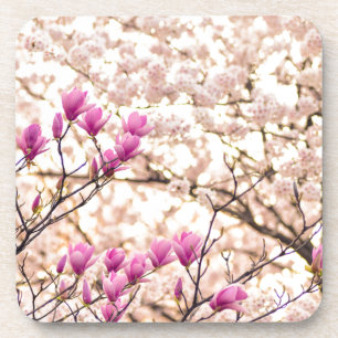 Blooming Pink Purple Magnolias Spring Flower Coaster