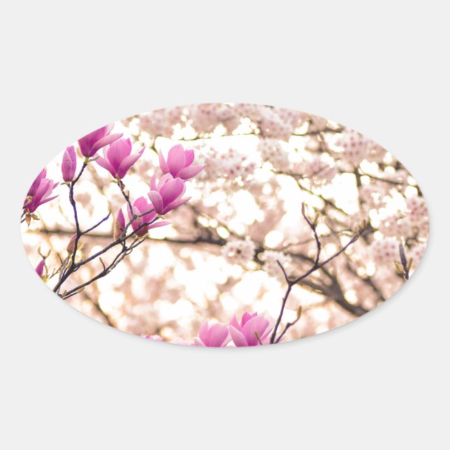 Blooming Pink Purple Magnolias Spring Flower Oval Sticker (Front)