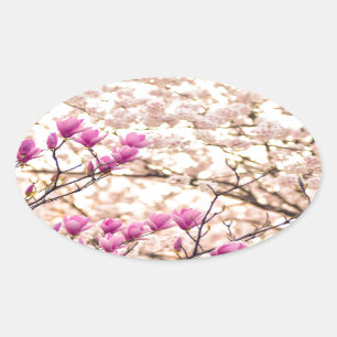 Blooming Pink Purple Magnolias Spring Flower Oval Sticker