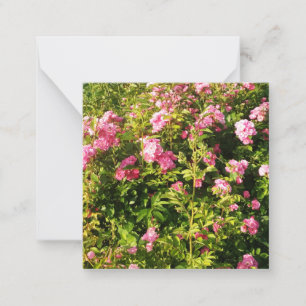 Blooming Pink Roses Card