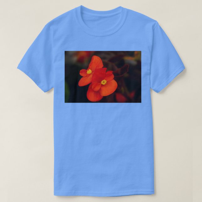 Blooming red flower on dark background T-Shirt (Design Front)