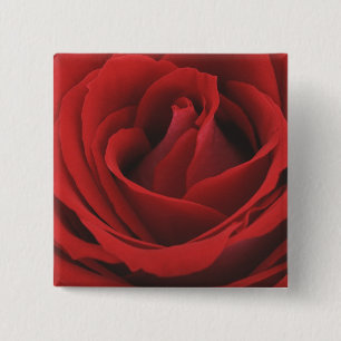 Blooming Red Rose 15 Cm Square Badge