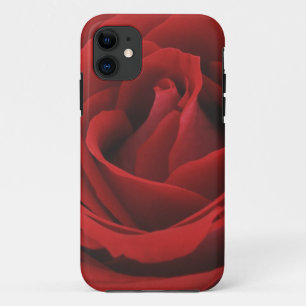 Blooming Red Rose iPhone 11 Case