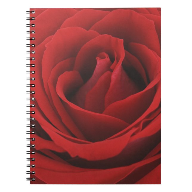 Blooming Red Rose Notebook (Front)
