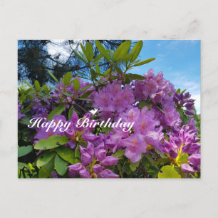 Blooming Rhododendron Happy Birthday Holiday Postcard