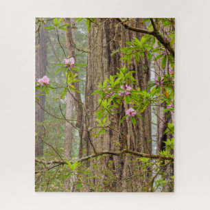 Blooming Rhododendrons   Redwoods State Park,CA Jigsaw Puzzle