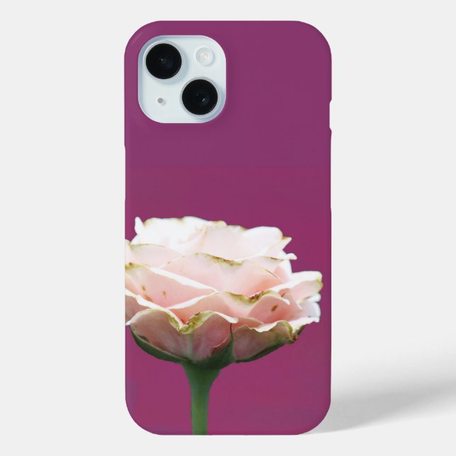 Blooming Rose Single on Magenta Case-Mate iPhone Case (Back)