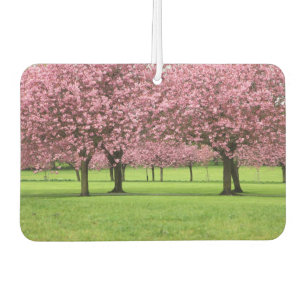Blooming Sakura Trees Car Air Freshener