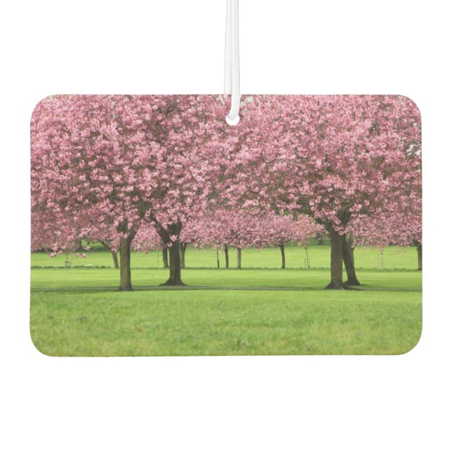 Blooming Sakura Trees Car Air Freshener (Front)