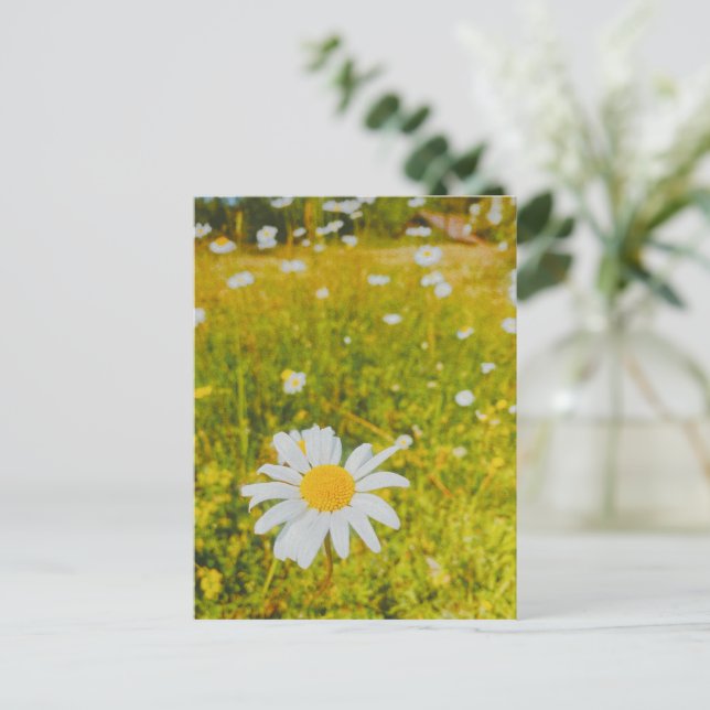 Blooming scandinavian summer field  postcard (Standing Front)