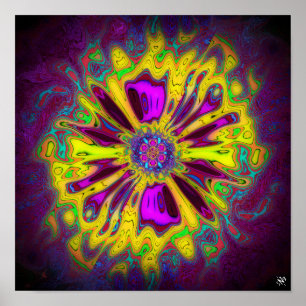 Blooming star-flower v2 patterns pareidolia poster