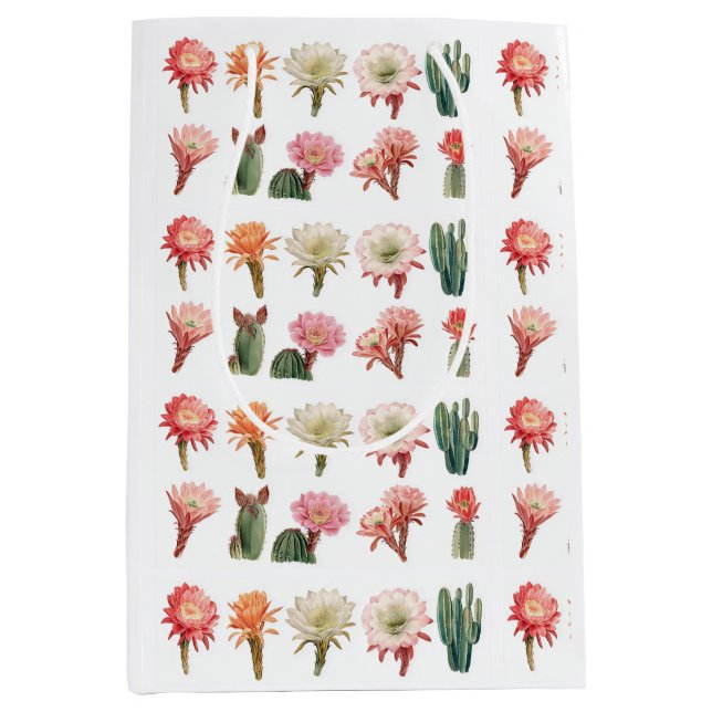 Blooming succulent plants medium gift bag (Front)