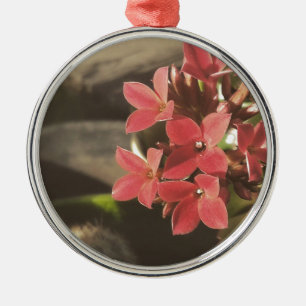 Blooming Succulents in my Garden Metal Tree Decoration