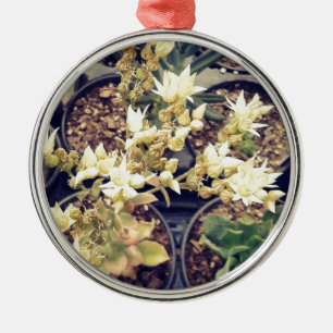 Blooming Succulents Metal Tree Decoration