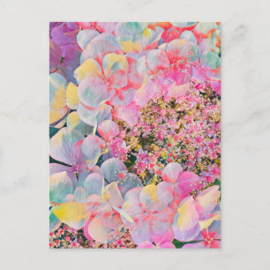Blooming Summer Hydrangea Flower Holiday Postcard