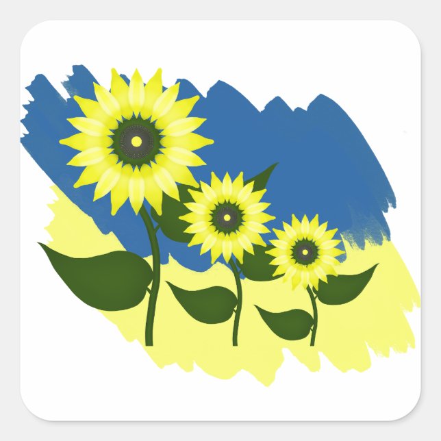 Blooming sunflowers and Ukrainian flag.  Square Sticker (Front)